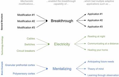 Five Breakthroughs: A First Approximation of Brain Evolution From Early Bilaterians to Humans